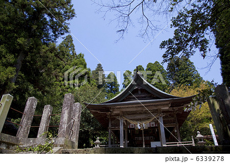 国造神社参道より拝殿 6339278
