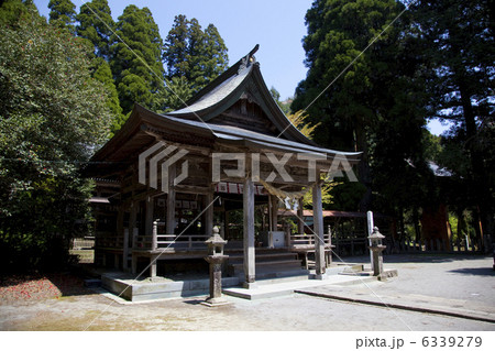 国造神社左手より拝殿 6339279