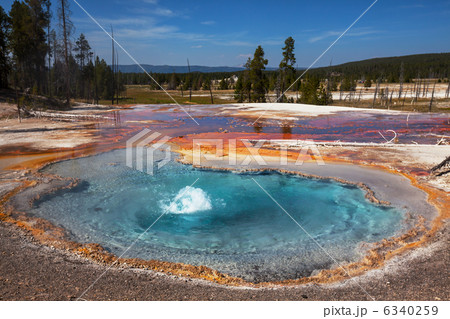 Yellowstone 6340259