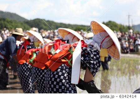 壬生の花田植の早乙女達　 6342414