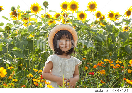 ひまわり畑と女の子の写真素材