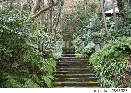 苔寺で有名な鎌倉の妙法寺を訪れて 6343523