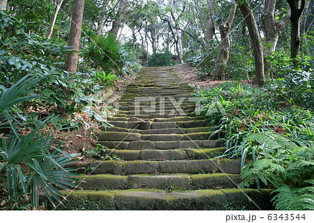 苔寺で有名な鎌倉の妙法寺を訪れて 6343544