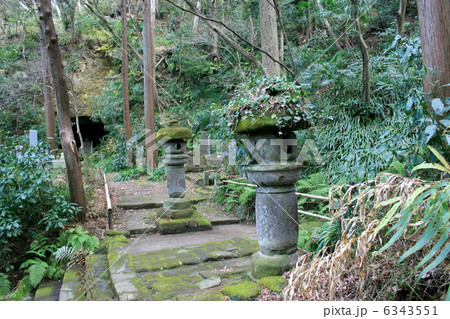 苔寺で有名な鎌倉の妙法寺を訪れて 苔寺で有名な鎌倉の妙法寺を訪れて 6343551
