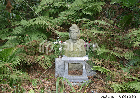 苔寺で有名な鎌倉の妙法寺を訪れて 6343568