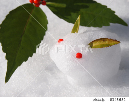 雪うさぎ 雪うさぎ 6343682