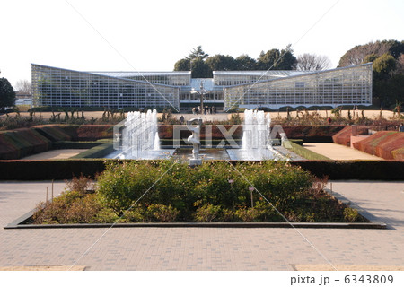 神代植物公園 6343809