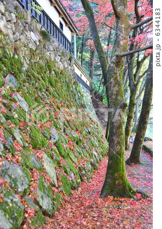 秋の横蔵寺 秋の横蔵寺 6344183