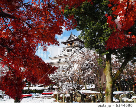 雪と紅葉の犬山城の写真素材