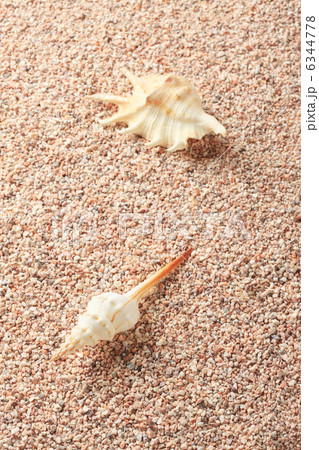 砂と貝 6344778
