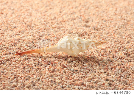 砂と貝 6344780