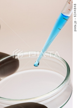 シャーレとスポイド 6344848