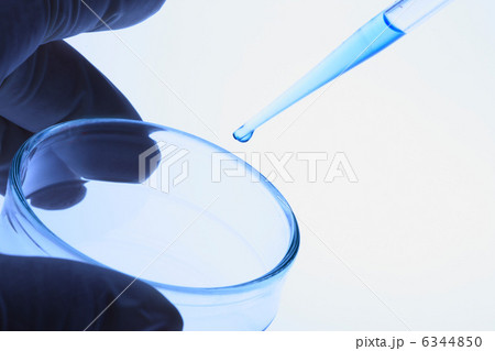 シャーレとスポイド シャーレとスポイド 6344850