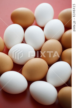 卵 卵 6346415