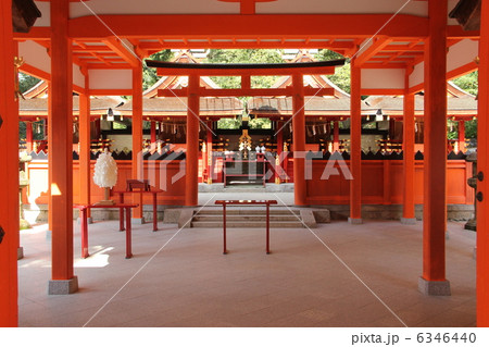 吉田神社 6346440