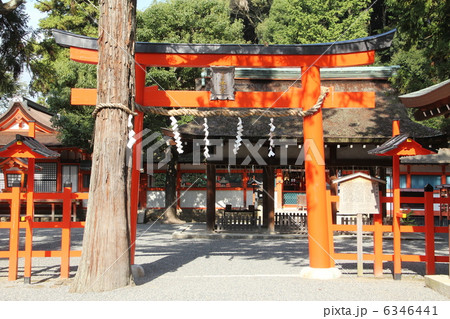 吉田神社 吉田神社 6346441