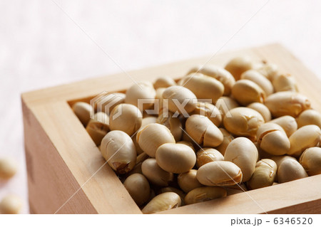 升に入った豆 6346520