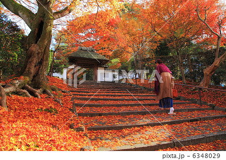 師走の京都 6348029
