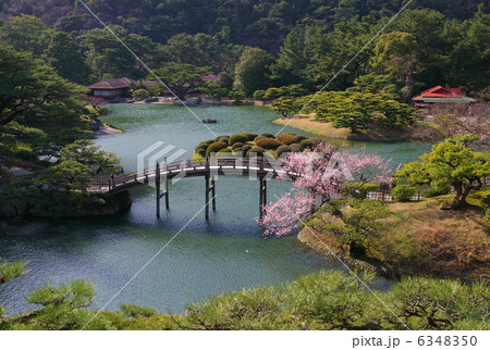 春の栗林公園(香川県高松市) 春の栗林公園(香川県高松市) 6348350