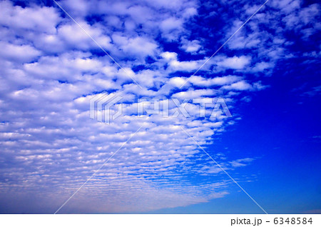 いわし雲 6348584
