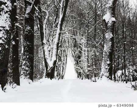 Winter park alley 6349098