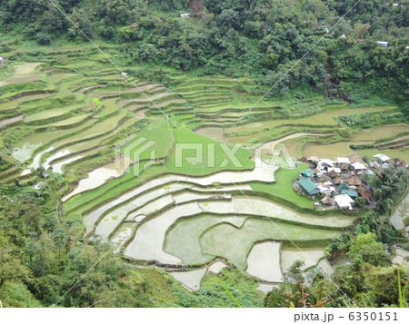 バンガアンライステラス バンガアンライステラス 6350151