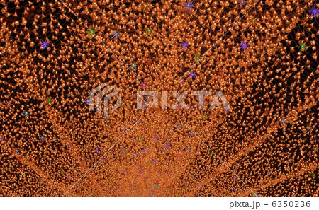 イルミネーション　なばなの里 6350236
