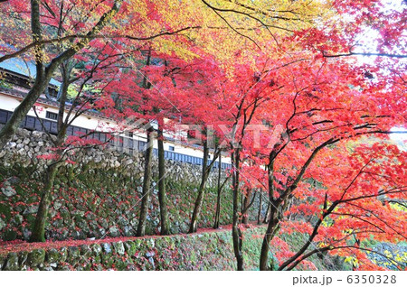秋の横蔵寺 秋の横蔵寺 6350328