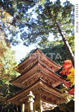 秋の横蔵寺 秋の横蔵寺 6350329