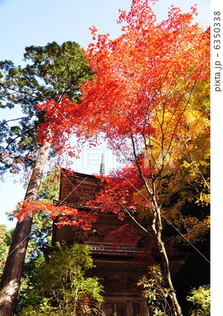 秋の横蔵寺 6350338