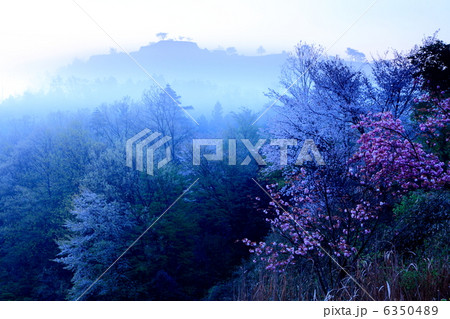 春の竹田城跡 6350489