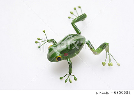 カエル 6350682