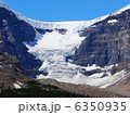 コロンビア大氷原 6350935