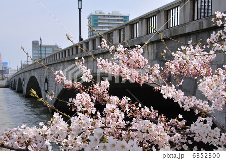 桜咲く万代橋 桜咲く万代橋 6352300