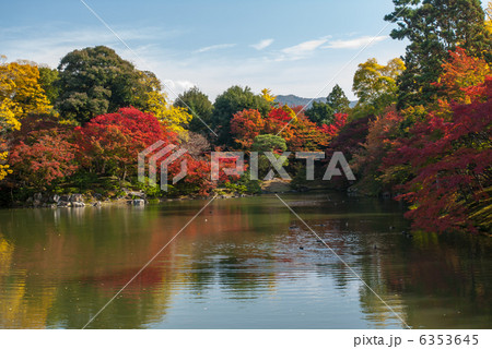 仙洞御所　北池　女院御所の池 6353645