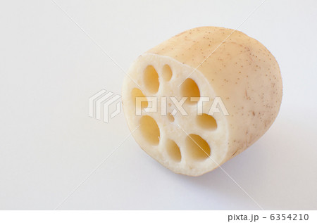 レンコン 6354210