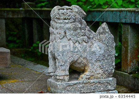 美保神社･境内奥の狛犬(阿形)（島根県松江市美保関町） 6354445