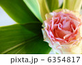 Rose I 6354817