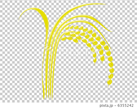 頭をたれる黄色い稲穂 白背景 イラスト エンボスのイラスト素材