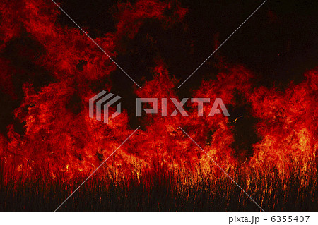 業火の地獄絵図　ヨシ焼き　渡良瀬遊水地 6355407