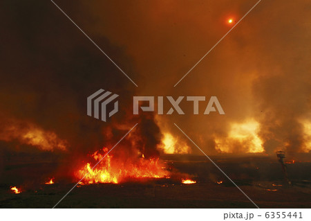 黒煙、天を覆い太陽を隠す　ヨシ焼き　渡良瀬遊水地 6355441