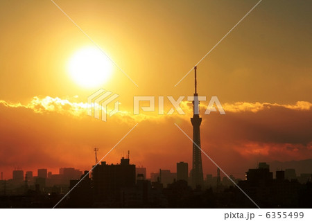 夕日に照らされる東京スカイツリー 夕日に照らされる東京スカイツリー 6355499