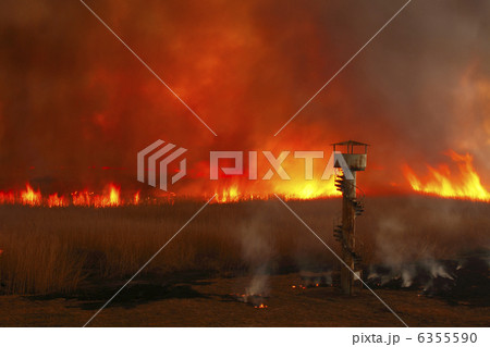 監視塔に迫る炎　ヨシ焼き　渡良瀬遊水地 6355590