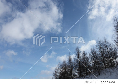 冬空 6355608