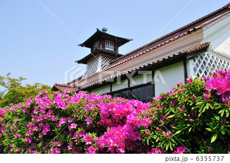 ツツジ咲く旧新潟税関庁舎 ツツジ咲く旧新潟税関庁舎 6355737