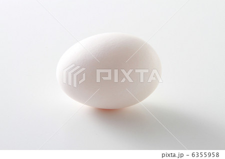 たまご　白たまご　鶏卵　食品　食材　たまごイメージ　白 6355958
