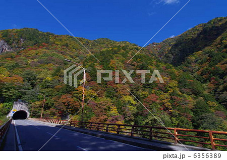 松本市沢渡　国道158号線の紅葉 6356389