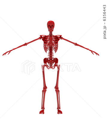 スケルトンレッド1 6356443