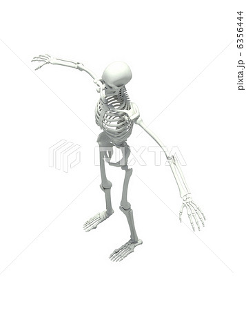 スケルトンホワイト1 6356444