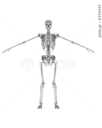 スケルトンシルバー1 スケルトンシルバー1 6356445